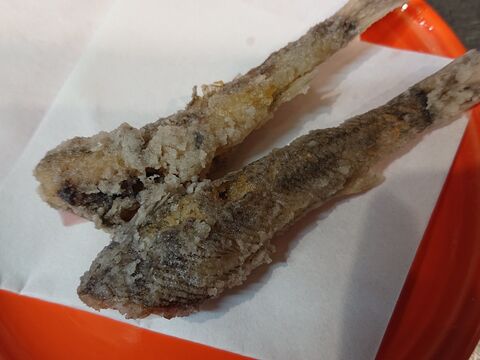 深海魚 めひかり 超 美味しい 暮らしニスタ 深海魚 めひかり 超 美味しい 暮らしニスタ