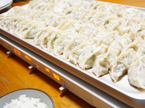 1度に何個焼ける Panasonicのihデイリーホットプレートで餃子作り 暮らしニスタ