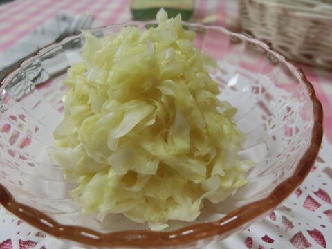 植物乳酸菌だから美肌やダイエットにも ザワークラウト 乳酸キャベツ 暮らしニスタ