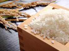 お米のおいしさをキープする保存方法は？冷蔵庫に入れたほうがいいの？