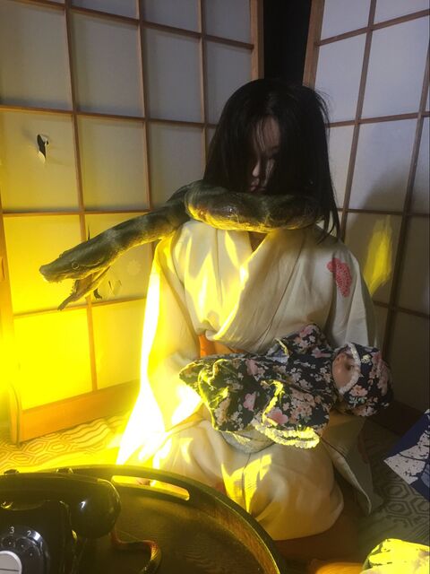 ハロウィン 手作りお化け屋敷 消えた村長の娘を探せ 暮らしニスタ