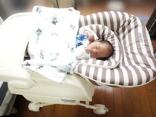 すやすやベビーラック ワンコと同室で新生児を迎えるために 暮らしニスタ すやすやベビーラック ワンコと同室で新生児を迎えるために 暮らしニスタ