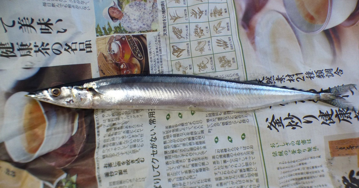 裏ワザ さんまの下処理キッチンバサミで5秒で完了 暮らしニスタ