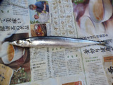【裏ワザ】さんまの下処理キッチンバサミで5秒で完了！