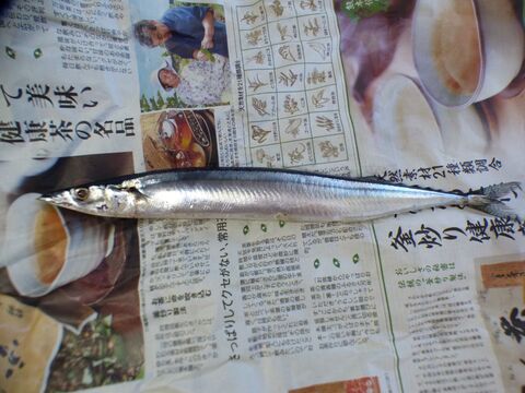 裏ワザ さんまの下処理キッチンバサミで5秒で完了 暮らしニスタ 裏ワザ さんまの下処理キッチンバサミで5秒で完了 暮らしニスタ