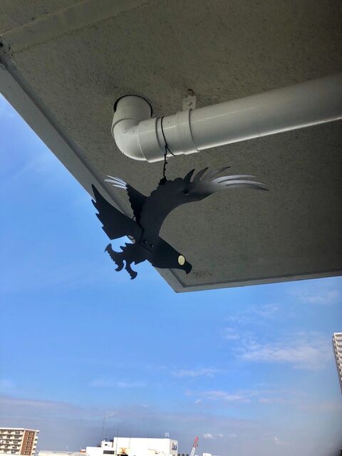 カラス対策 効果てきめん だったのはこれ 暮らしニスタ カラス対策 効果てきめん だったのはこれ 暮らしニスタ
