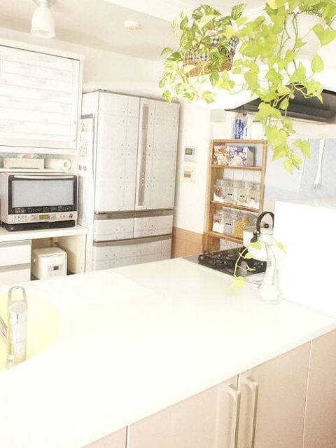 濡れた雑巾の干し場と意外な効果 暮らしニスタ 濡れた雑巾の干し場と意外な効果 暮らしニスタ