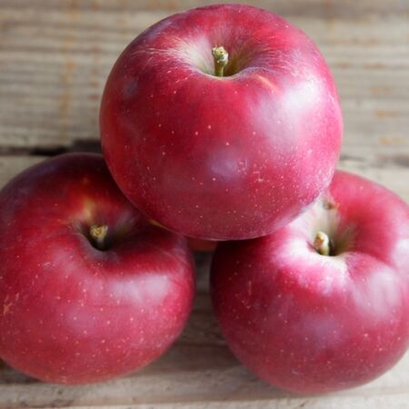 今が旬！焼く宝石の「紅玉」りんご。安く手軽に作り置きするコツ