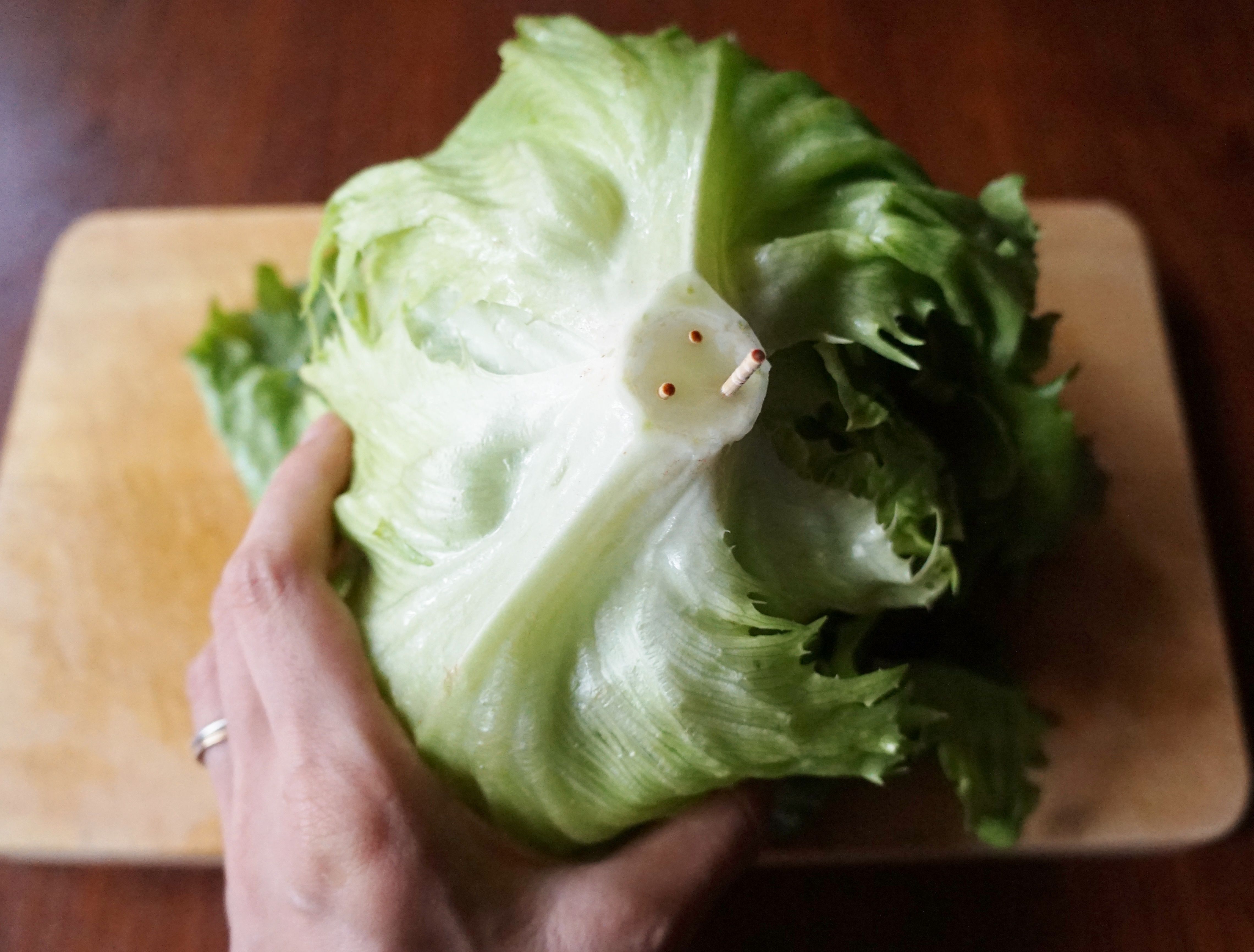 シャキシャキ感続く 葉野菜を上手に保存する方法とは 暮らしニスタ