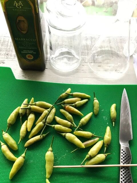 万能オイル 自家製 ぺペロンオイル 基本抑えて美味しくアレンジ 18年金魚ベスト10 暮らしニスタ 万能オイル 自家製 ぺペロンオイル 基本抑えて美味しくアレンジ 18年金魚ベスト10 暮らしニスタ