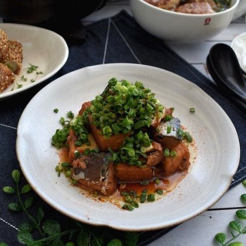 ねぎだくで 厚揚げとさば味噌煮缶の炒め煮 暮らしニスタ