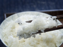 炊き立ての味をキープ！残りごはんをおいしく保存するベストな方法は？