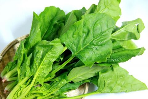 ほうれん草の保存方法 知っていますか おいしく長持ちさせてたくさん食べよう 暮らしニスタ ほうれん草の保存方法 知っていますか おいしく長持ちさせてたくさん食べよう 暮らしニスタ