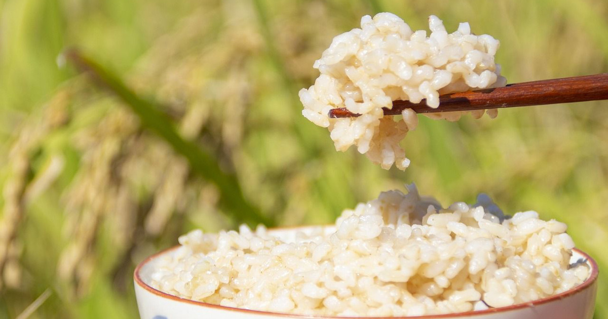 玄米はどうすればおいしく炊ける 土鍋や炊飯器を使った方法を紹介 暮らしニスタ