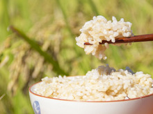 玄米はどうすればおいしく炊ける？土鍋や炊飯器を使った方法を紹介