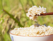 玄米はどうすればおいしく炊ける？土鍋や炊飯器を使った方法を紹介