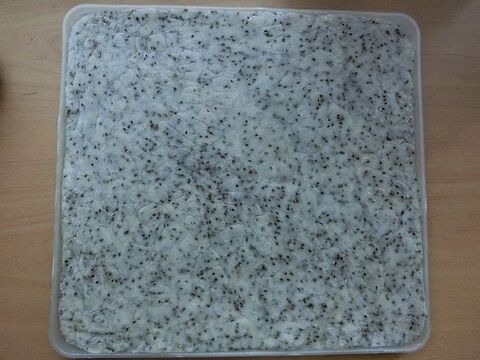 餅つき機にお任せ 材料3つで簡単ごま餅 暮らしニスタ 餅つき機にお任せ 材料3つで簡単ごま餅 暮らしニスタ