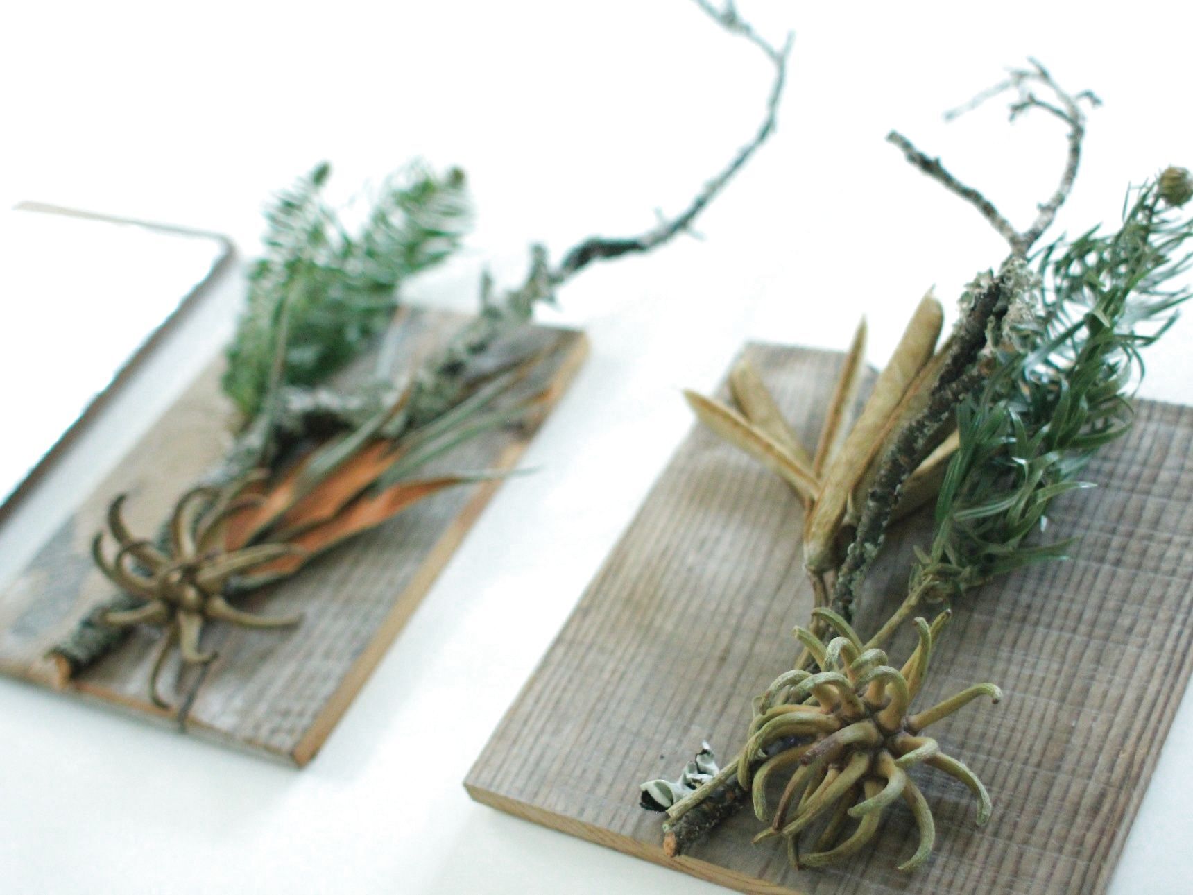 苔木や花材を板へバランスをみながら貼り付ける