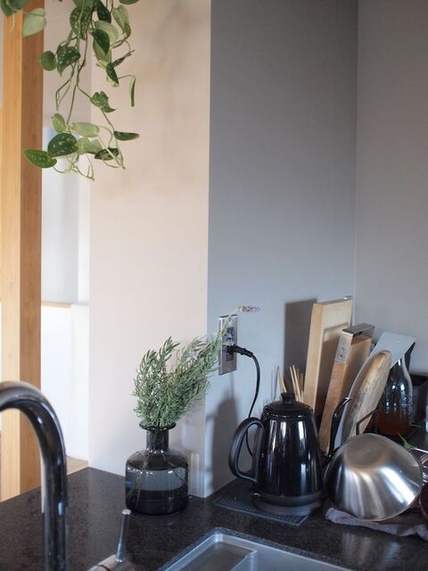 インテリアグリーンのベスポジはキッチン で管理がグーンとラクに 暮らしニスタ インテリアグリーンのベスポジはキッチン で管理がグーンとラクに 暮らしニスタ