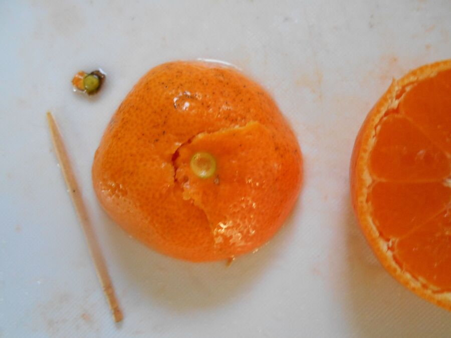 風邪予防にもアンチエイジングにも嬉しい!あったか~甘酒味噌ミカン鍋