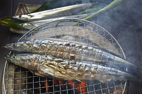 さんまの上手な焼き方が知りたい グリルやフライパンで焼くには 暮らしニスタ さんまの上手な焼き方が知りたい グリルやフライパンで焼くには 暮らしニスタ