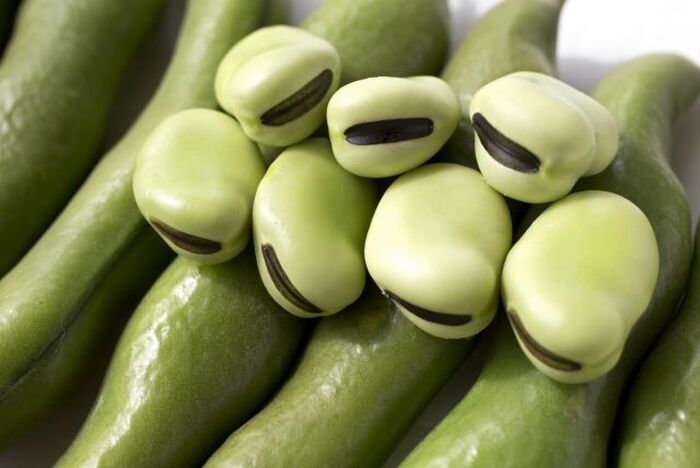 そら豆の茹で方の基本 ポイントや保存方法 おすすめレシピを紹介 暮らしニスタ
