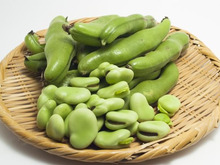 そら豆の茹で方の基本！ポイントや保存方法、おすすめレシピを紹介！