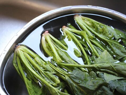 捨てないで ほうれん草は 茎 まで余すことなく全部食べられます 暮らしニスタ 捨てないで ほうれん草は 茎 まで余すことなく全部食べられます 暮らしニスタ