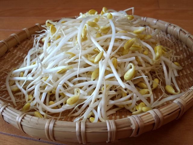 もやしは電子レンジで簡単 加熱時間や保存方法 レシピを紹介 暮らしニスタ