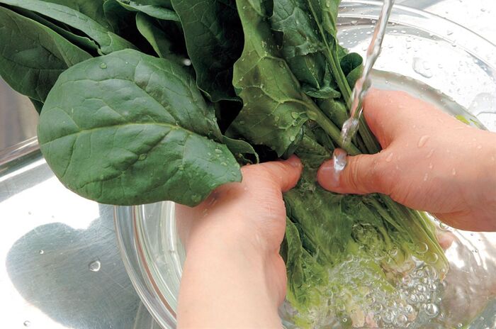 ほうれん草の茹で時間ってどれくらい 下処理から保存方法まで 暮らしニスタ ほうれん草の茹で時間ってどれくらい 下処理から保存方法まで 暮らしニスタ