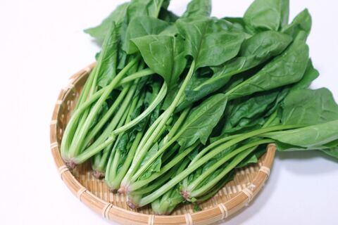 ほうれん草は電子レンジ簡単 加熱方法やアク抜き おひたしレシピも紹介 暮らしニスタ