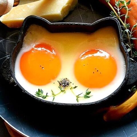 暮らし ネコの日 猫型シリコン 目玉焼き 朝が楽しくなるアイデア 暮らしニスタ 暮らし ネコの日 猫型シリコン 目玉焼き 朝が楽しくなるアイデア 暮らしニスタ