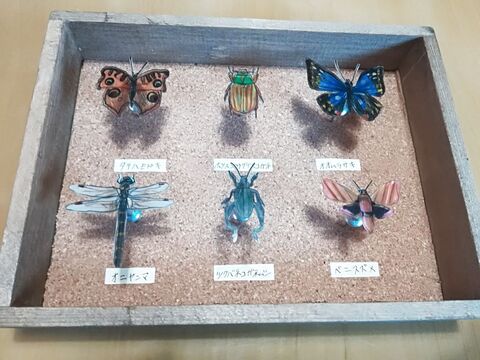試してみた 写して描いて プラ板で虫ピン標本箱の作り方 暮らしニスタ 試してみた 写して描いて プラ板で虫ピン標本箱の作り方 暮らしニスタ