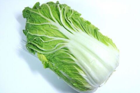 白菜の冷凍保存方法と期間 おいしく長持ちさせるコツ 暮らしニスタ