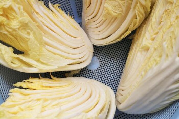 白菜の冷凍保存方法と期間 おいしく長持ちさせるコツ 暮らしニスタ