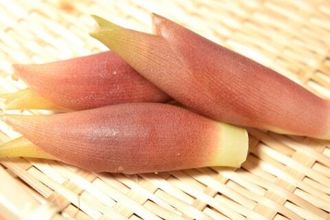 みょうがの切り方は料理によって使い分けを 下準備やおすすめレシピも紹介 暮らしニスタ
