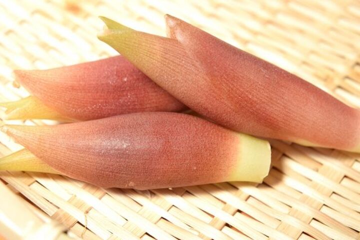 みょうがの切り方は料理によって使い分けを!下準備やおすすめレシピも紹介