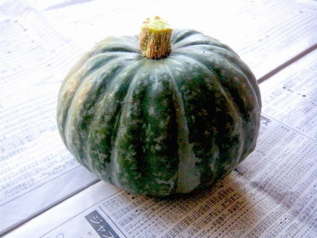 かぼちゃの保存方法や保存期間 冷凍保存は おいしいかぼちゃの見分け方も 暮らしニスタ