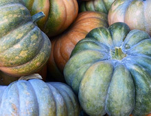 かぼちゃの保存方法や保存期間、冷凍保存は？おいしいかぼちゃの見分け方も