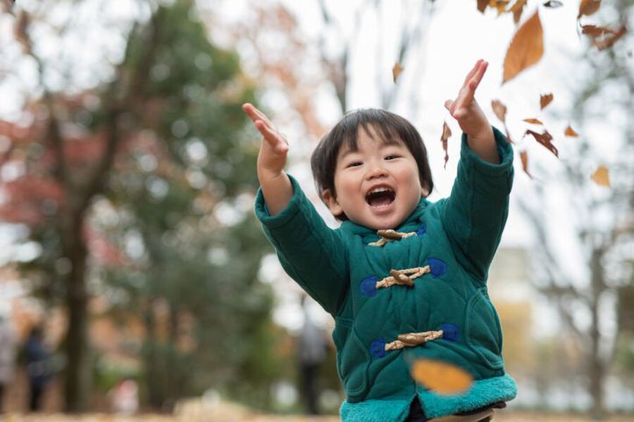 子どもの写真どうしてる いますぐできる写真整理法 暮らしニスタ 子どもの写真どうしてる いますぐできる写真整理法 暮らしニスタ