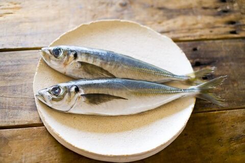 アジの捌き方 三枚おろし 背開きの方法 初心者でもできる 暮らしニスタ アジの捌き方 三枚おろし 背開きの方法 初心者でもできる 暮らしニスタ