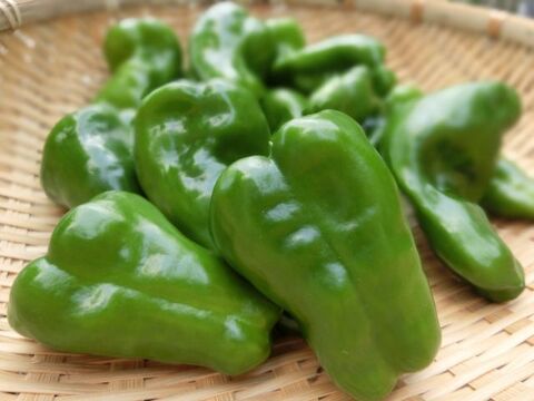 ピーマンを長期保存するなら冷凍で 上手な方法を伝授 暮らしニスタ ピーマンを長期保存するなら冷凍で 上手な方法を伝授 暮らしニスタ