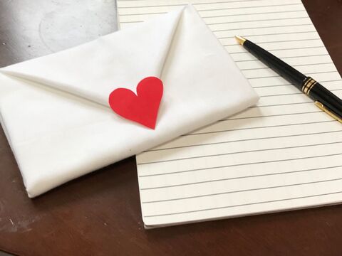 綿婚式 2年目の結婚記念日におすすめプレゼント 暮らしニスタ