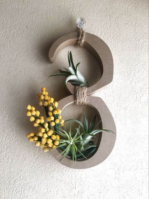 エアープランツとアルファベットmdfの壁飾り 暮らしニスタ エアープランツとアルファベットmdfの壁飾り 暮らしニスタ