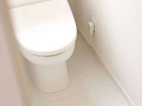 100均 トイレ掃除をラク 時短に 邪魔なコードはミニフックで 浮かす 暮らしニスタ
