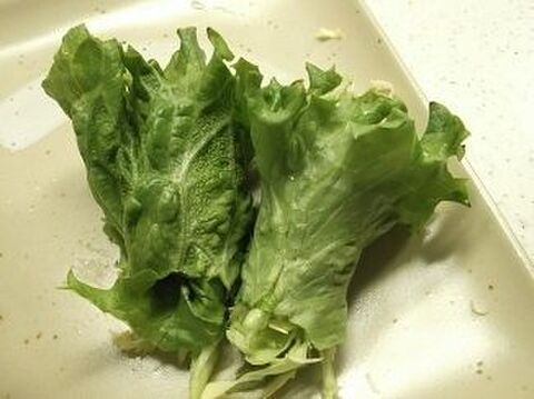 お弁当にクルクル巻き巻きサラダ レタスとキャベツのバジルマヨサラダ 暮らしニスタ お弁当にクルクル巻き巻きサラダ レタスとキャベツのバジルマヨサラダ 暮らしニスタ