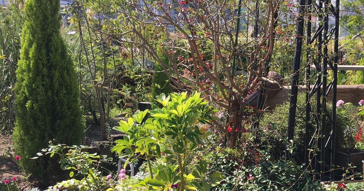 ワセリンで鼻バリア 医師も看護師も効果実感の花粉症対策 暮らしニスタ