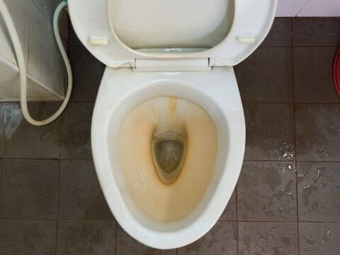 トイレの黄ばみはコレで落ちる 掃除方法から予防方法まで紹介 暮らしニスタ トイレの黄ばみはコレで落ちる 掃除方法から予防方法まで紹介 暮らしニスタ