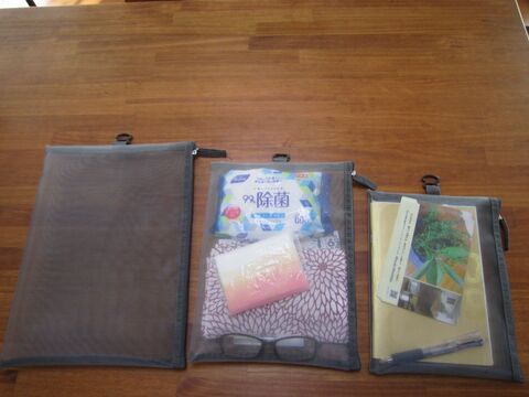 バッグの中スッキリ 私に必要なのは コレ でした 100均ダイソーのケース 暮らしニスタ バッグの中スッキリ 私に必要なのは コレ でした 100均ダイソーのケース 暮らしニスタ