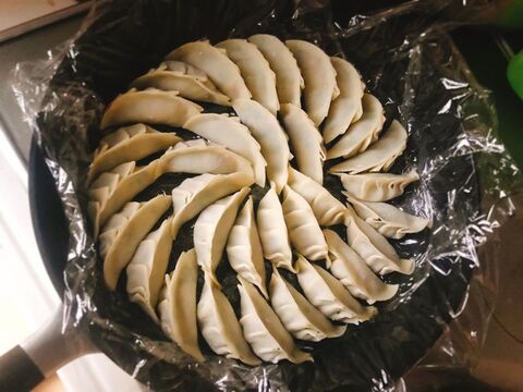 手作り餃子をきれいに焼く冷凍保存方法 暮らしニスタ